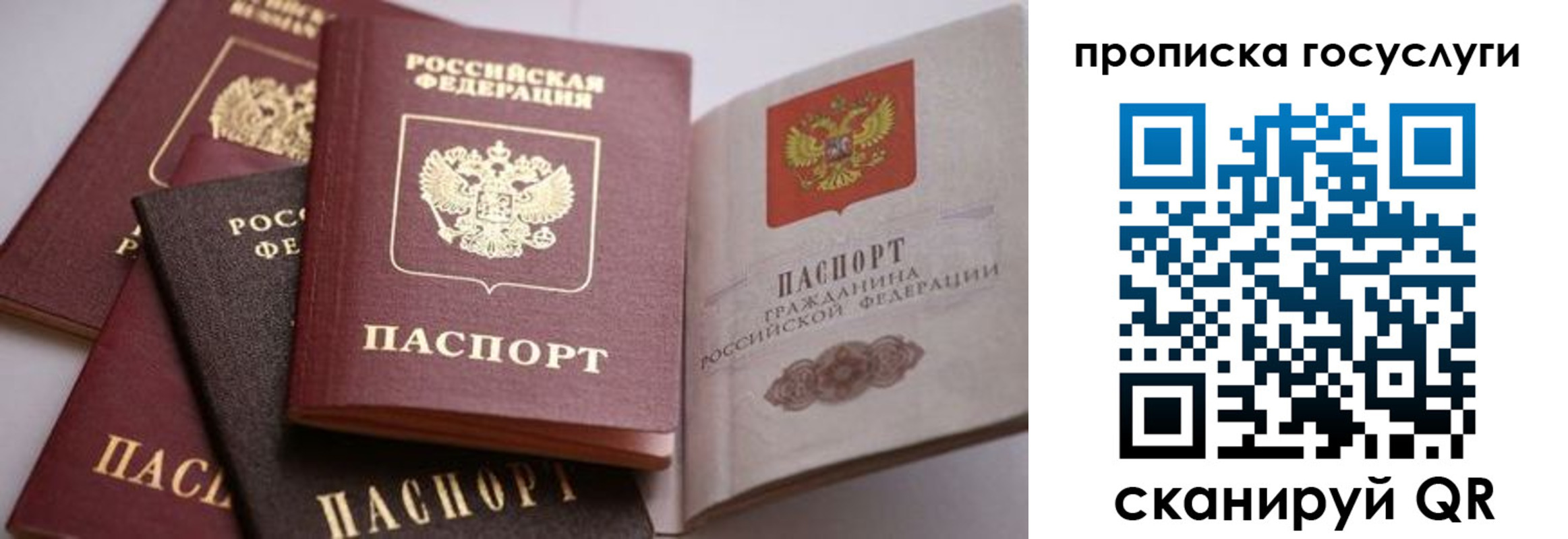прописка иностранных граждан в Карталах