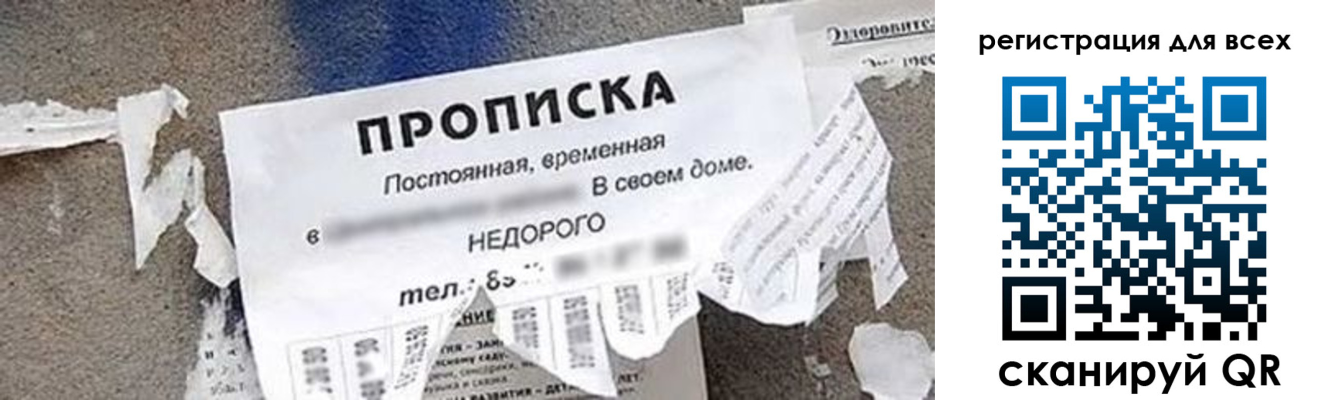прописка поиск в Карталах